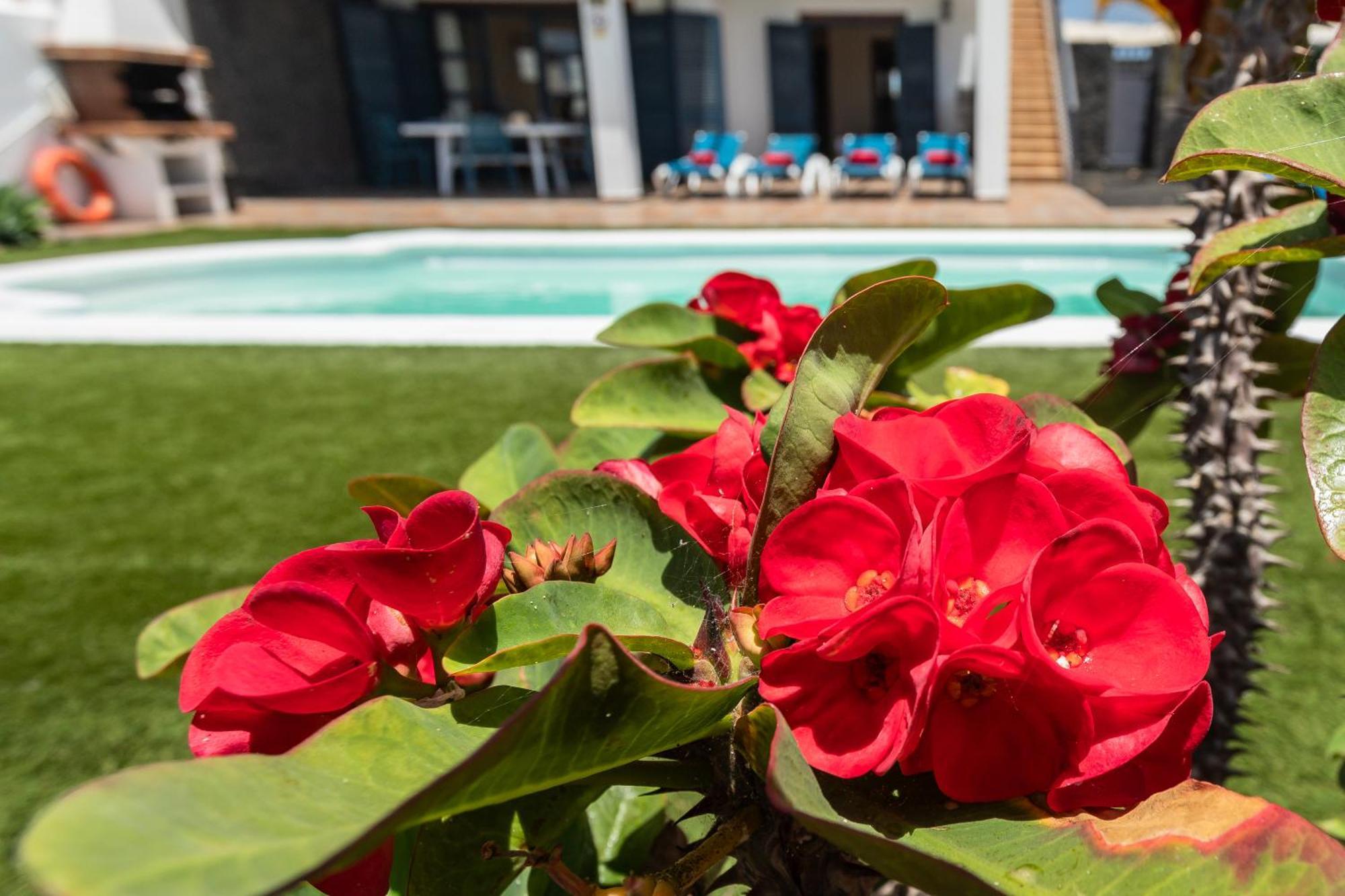 Villas Susaeta Playa Blanca  Ngoại thất bức ảnh